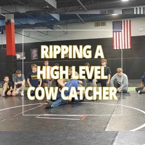 Ripping a high level COW CATCHER