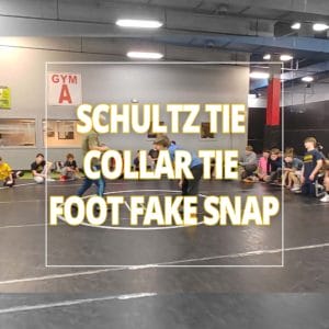 Schultz Tie Collar Tie Foot Fake Snap